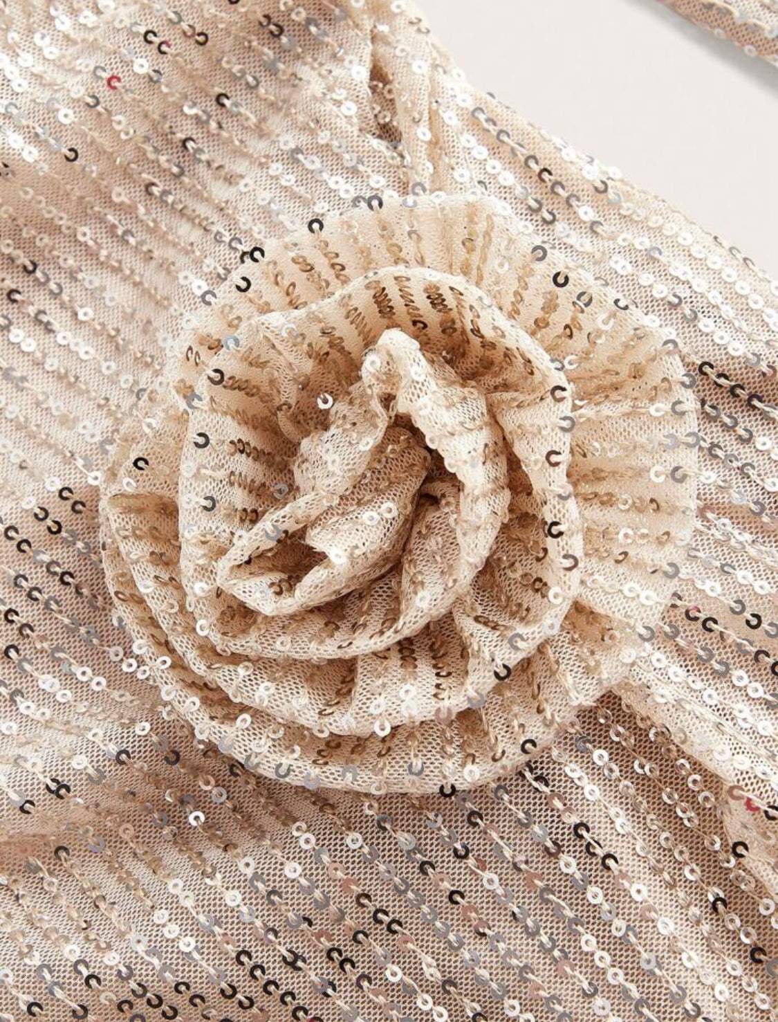 Tina Flower Long Sleeves Sequin Dress (Beige)