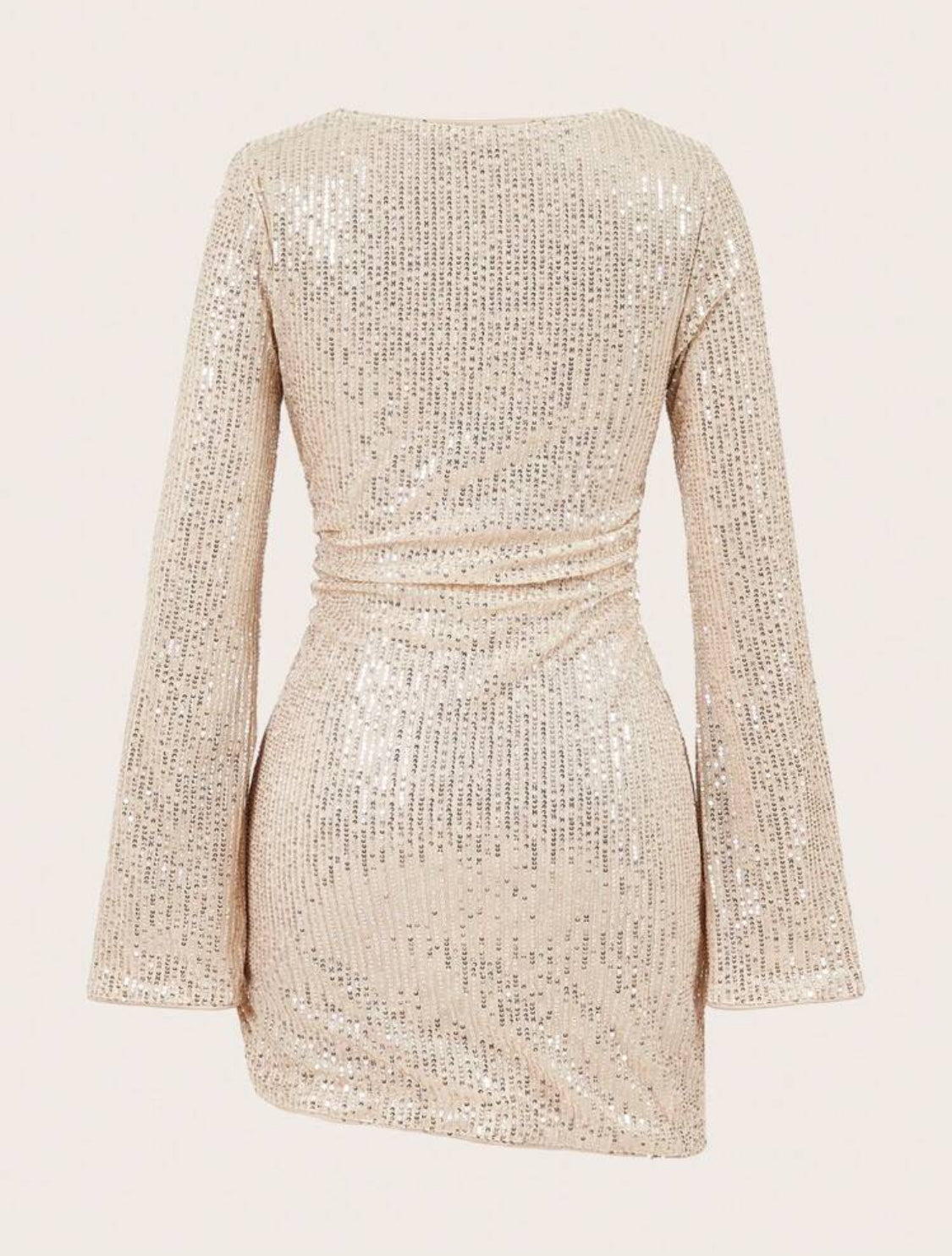 Tina Flower Long Sleeves Sequin Dress (Beige)