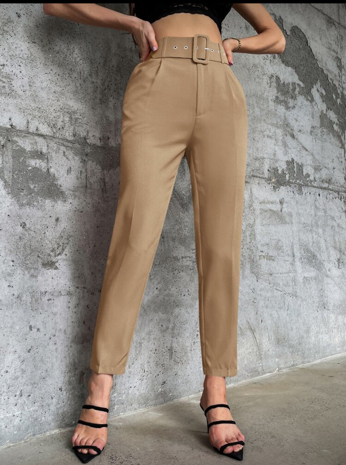 Unity Solid Belted Tapered Pants (Beige)